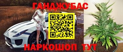 гашишное масло Гай